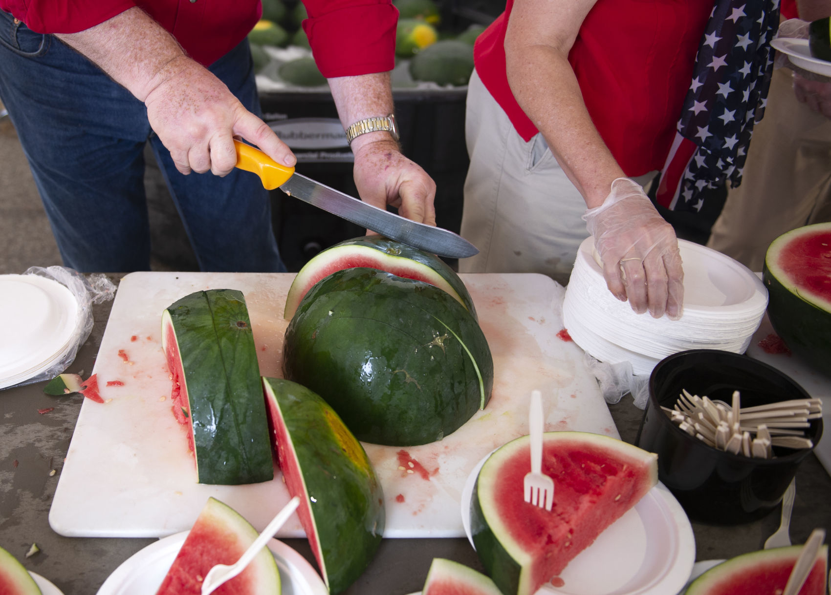 WATERMELON AT FAIR, 8.2